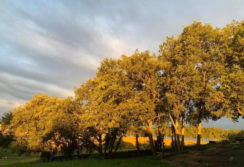 Aamiaismajoitus (B&B) Les Libellules