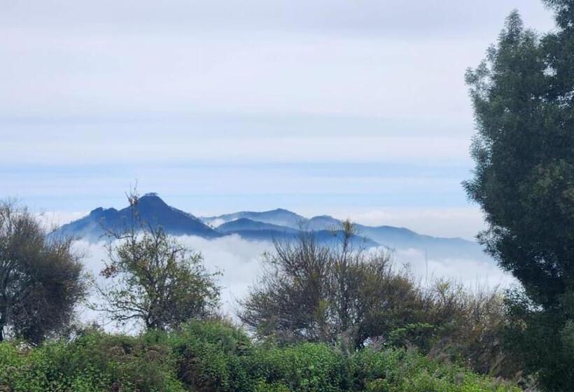 בית מלון כפרי Tranquil Heights