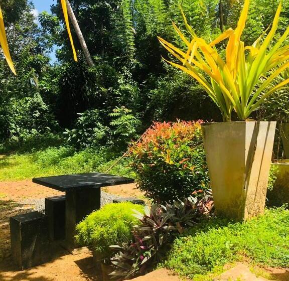 بنسيون Mount Lavender