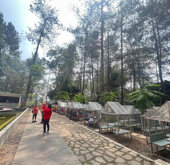 אתר נופש Heha Waterfall Suites & Camping Ground