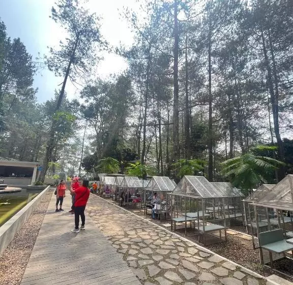 Lomakeskus Heha Waterfall Suites & Camping Ground