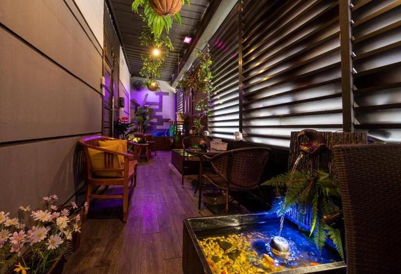 فندق صغير Spa Shalom Suites