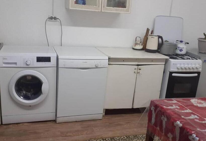 پانسیون алтынай