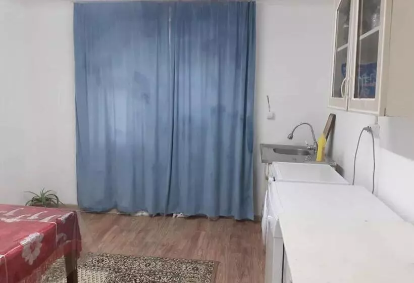 پانسیون алтынай