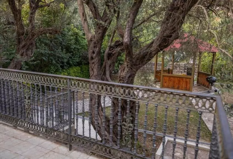 پانسیون Villa Botanicus