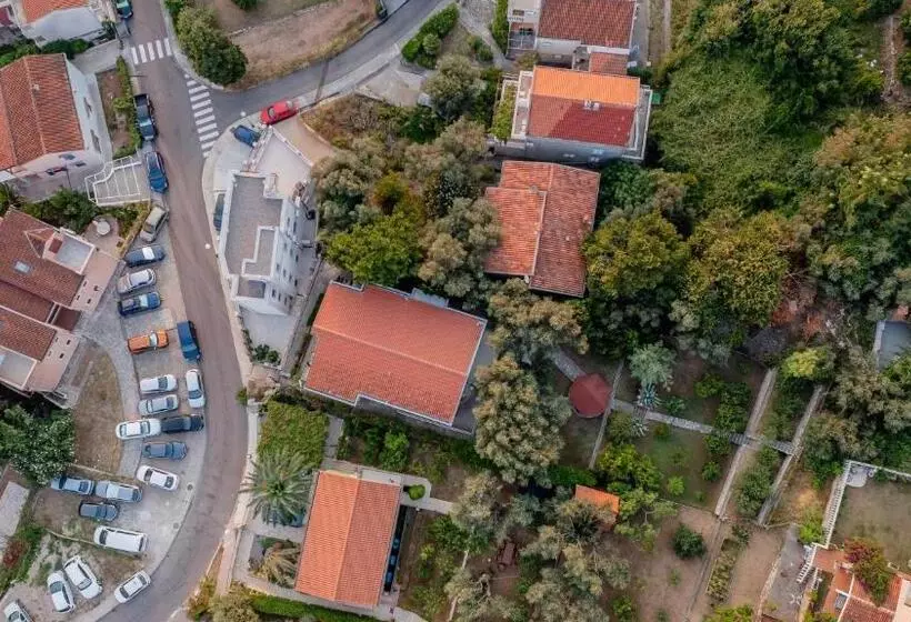 پانسیون Villa Botanicus