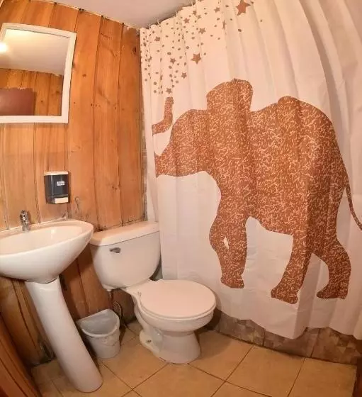 ユースホステル Hostal De Montaña Los ñirres