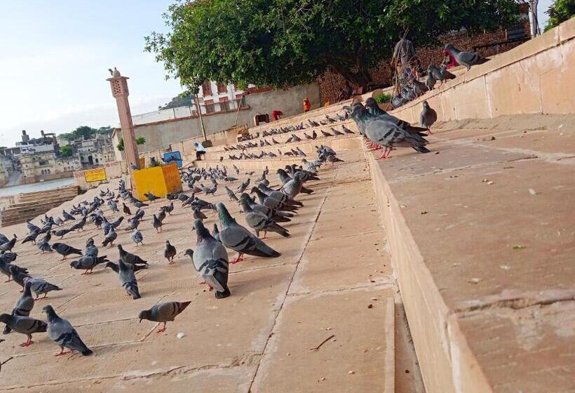 هاستل Jungle By Sturmfrei Pushkar