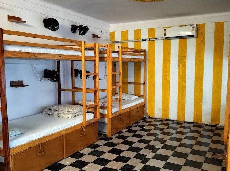 هاستل Jungle By Sturmfrei Pushkar