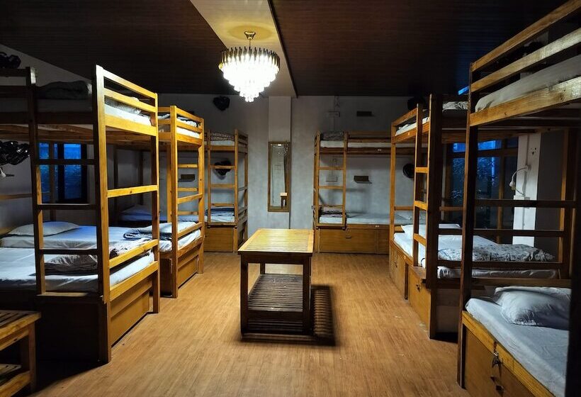 هاستل Jungle By Sturmfrei Pushkar