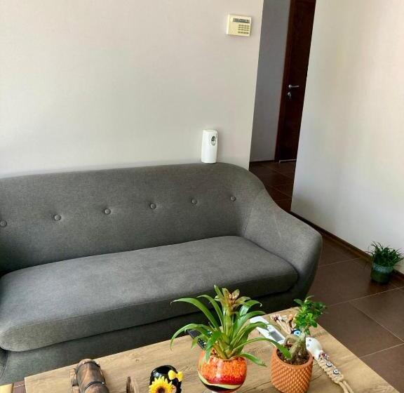 Pension Balkan Aparts