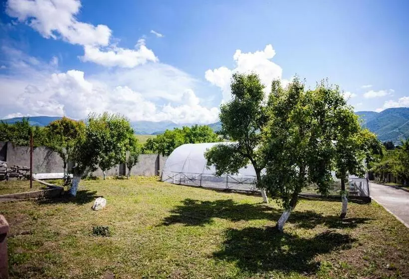 پانسیون Lily S Guest House