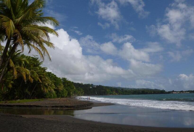 Les Jardins Des Balisiers