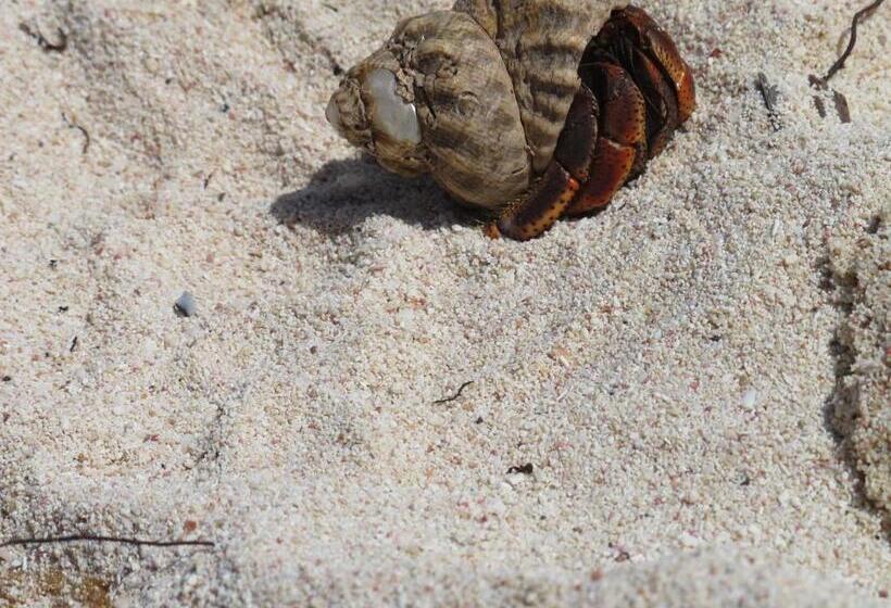 Les Jardins Des Balisiers