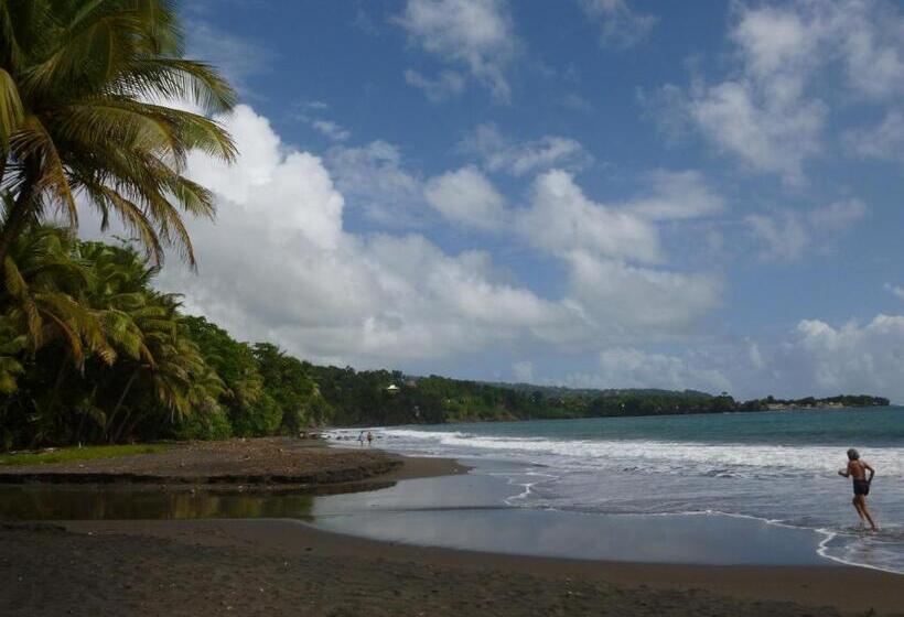 Les Jardins Des Balisiers