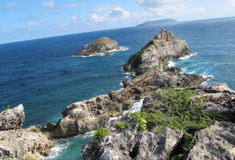 Les Jardins Des Balisiers