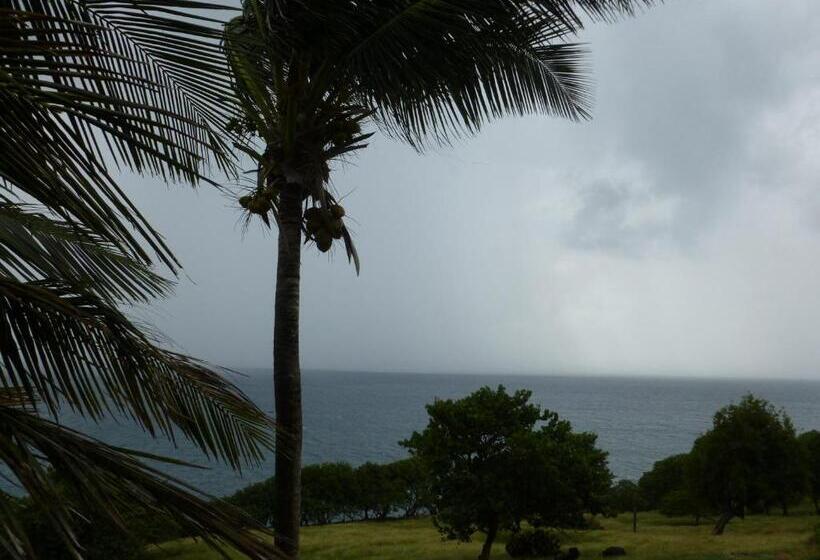 Les Jardins Des Balisiers