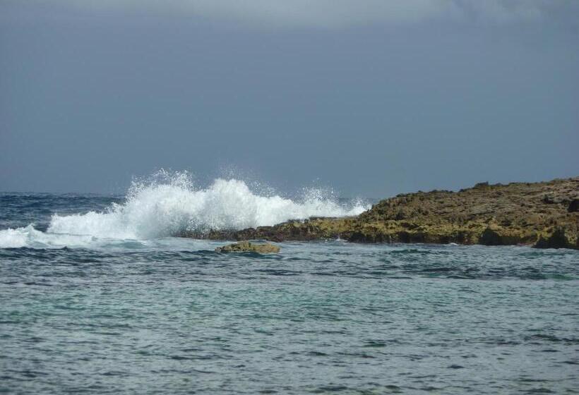 Les Jardins Des Balisiers