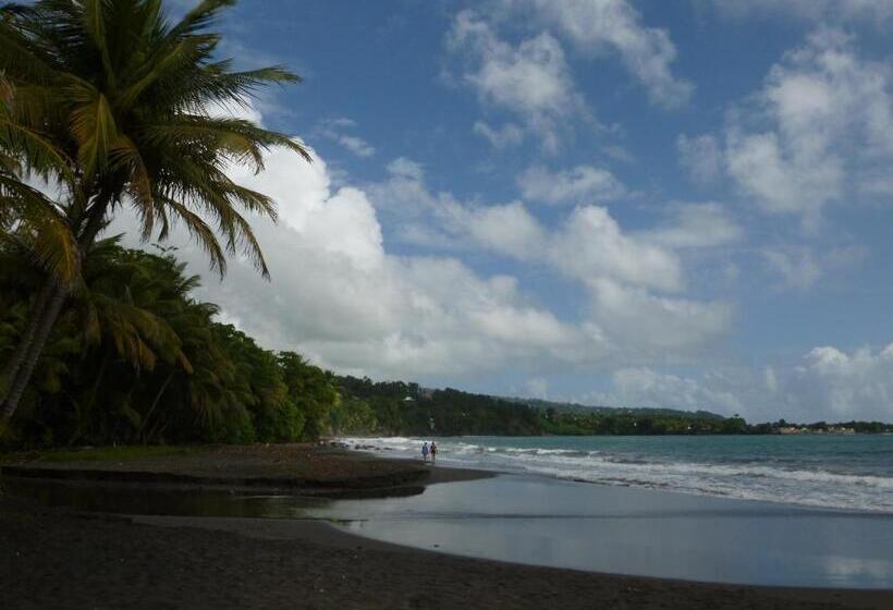 Les Jardins Des Balisiers