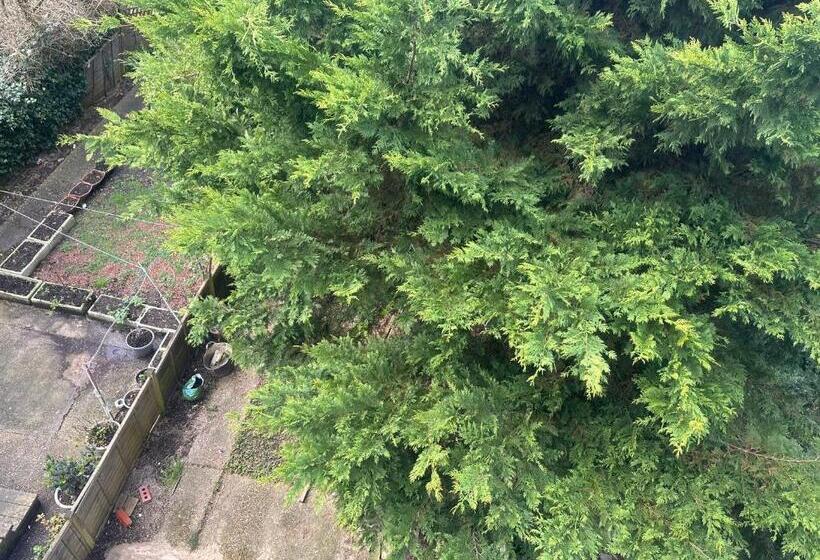 Majatalo Paradise Vuze 2