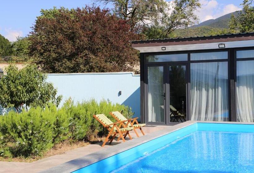 پانسیون Saguramo Bliss