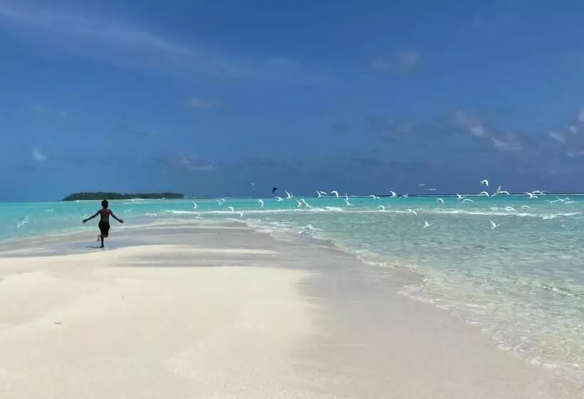 پانسیون Sky Village