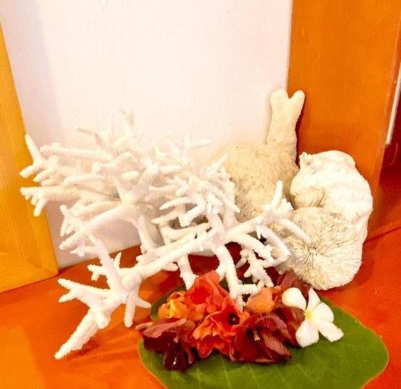 پانسیون Sky Village