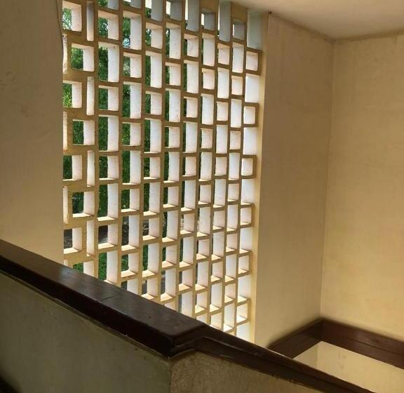 Rooms Available In Moshi Bed & Breakfast