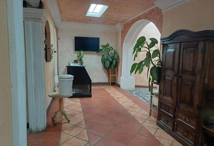 تختخواب و صبحانه Principe William