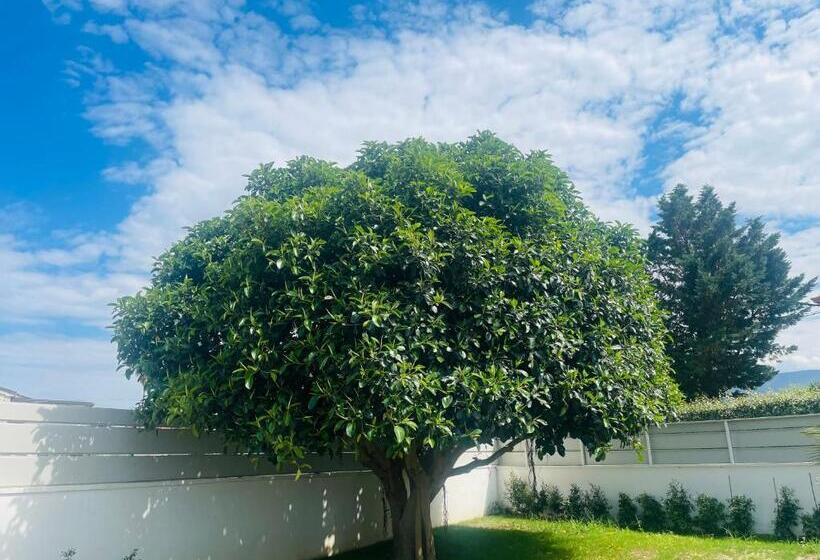 צימר Villa Ilary