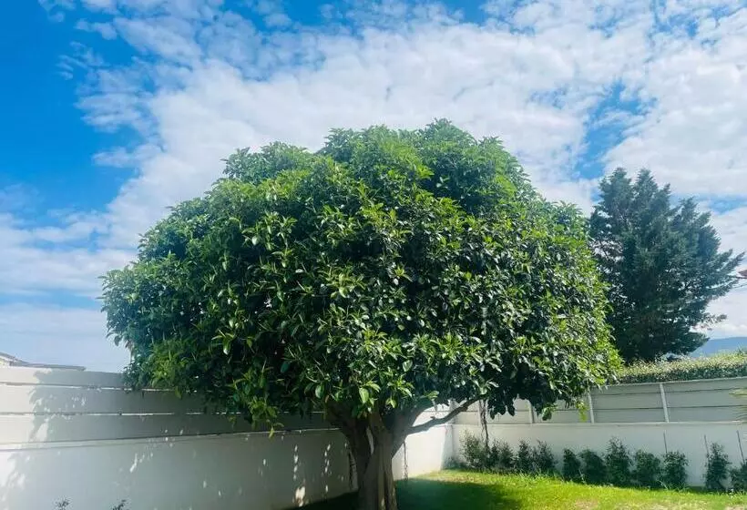 Aamiaismajoitus (B&B) Villa Ilary