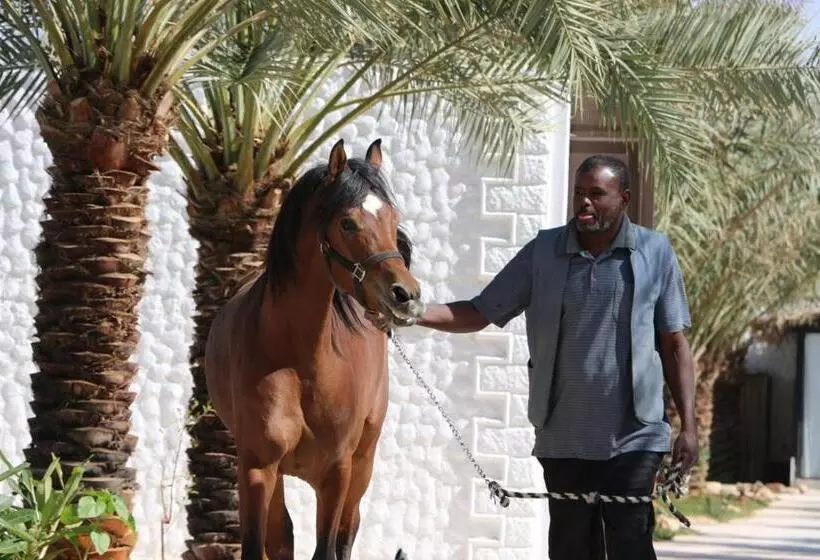 Hotelli واحة القدية القسم النجدي