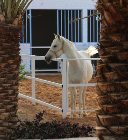 فندق واحة القدية القسم النجدي