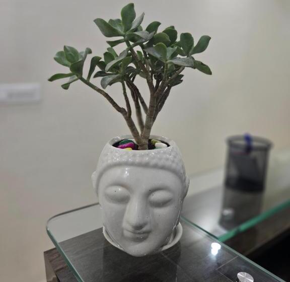 ホテル Super Collection O Niladri Road Formerly Sniv Inn