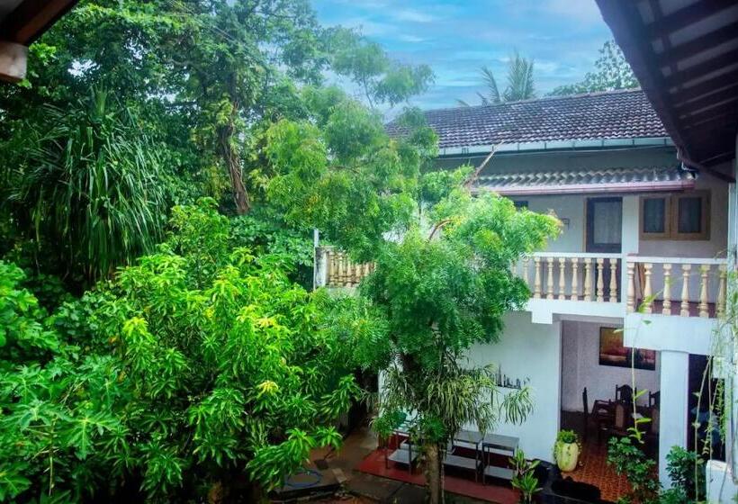 Отель Villa 47 Hikkaduwa