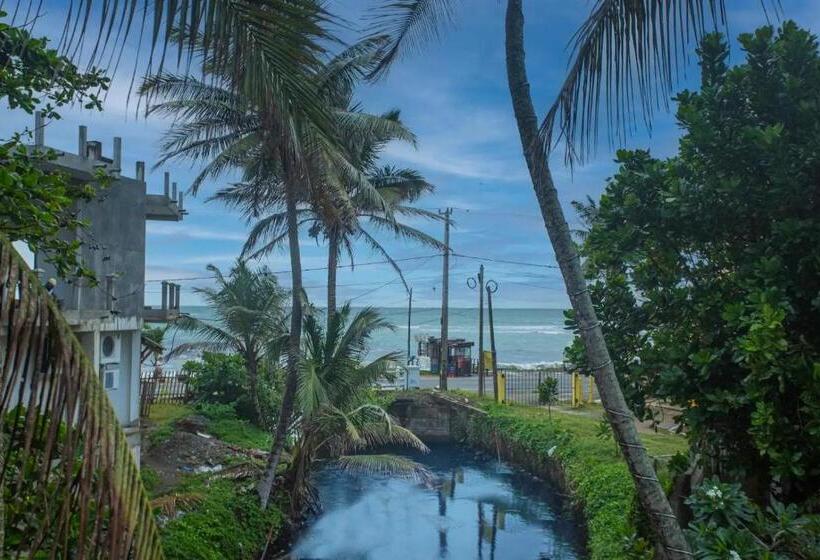 Отель Villa 47 Hikkaduwa