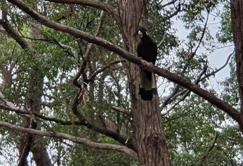 Majatalo Couples Accessible Cabin, Zarina Country Cabins, 6