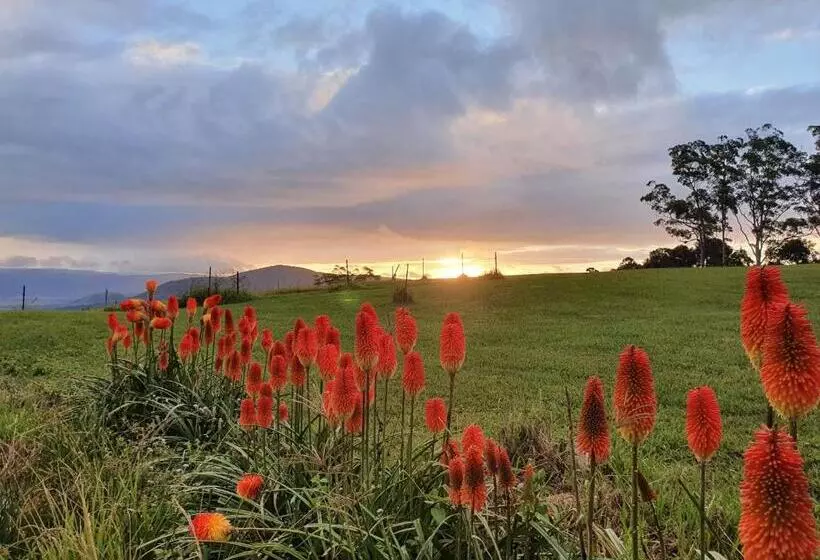 Majatalo Couples Accessible Cabin, Zarina Country Cabins, 6