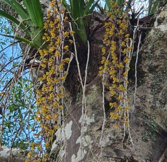 Пансион Couples Accessible Cabin, Zarina Country Cabins, 6