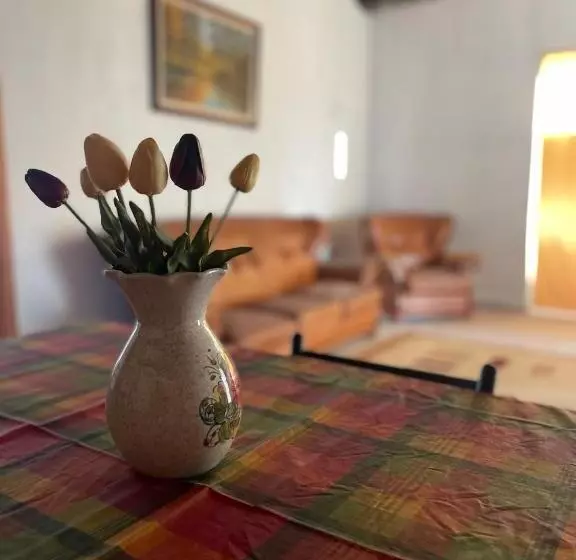پانسیون Guest House By Roni