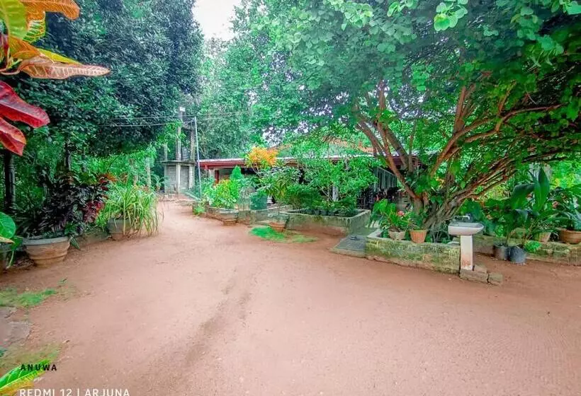 Travels First Sigiriya Hostel