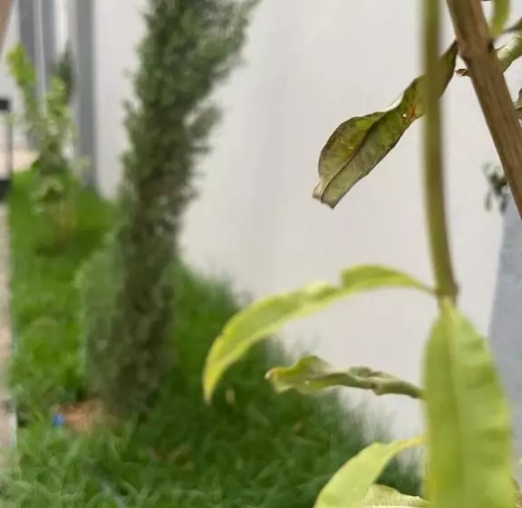 Garden Land
