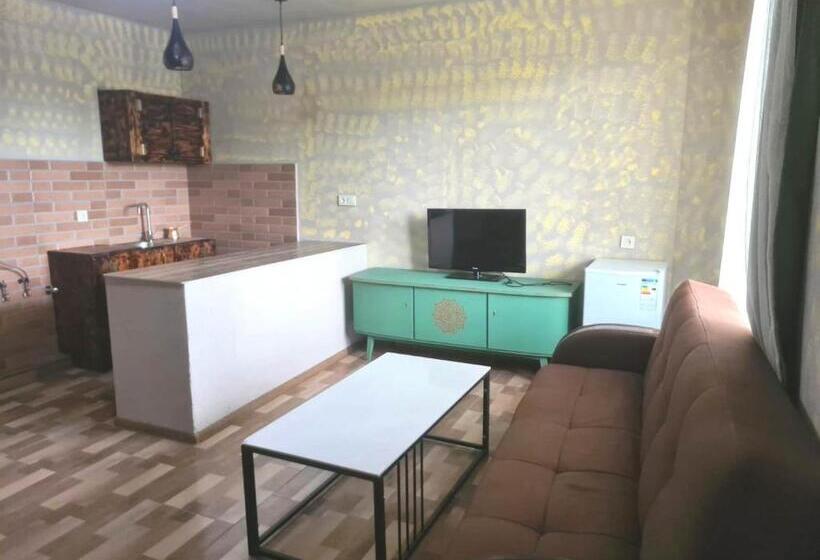 پانسیون Art Hotel Orkhevi