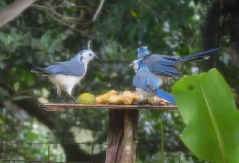 Aamiaismajoitus (B&B) Villas Santa Maria   Private Bay Lake Arenal