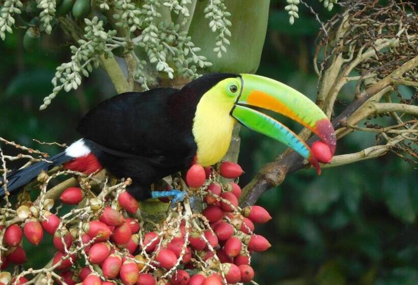 Bed and Breakfast Villas Santa Maria   Private Bay Lake Arenal