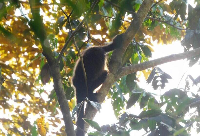 Bed and Breakfast Villas Santa Maria   Private Bay Lake Arenal