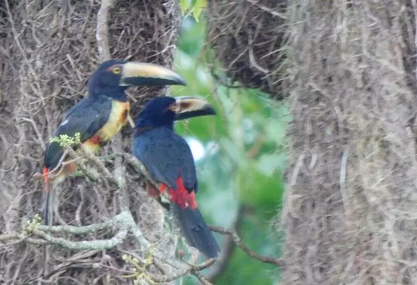 Aamiaismajoitus (B&B) Villas Santa Maria   Private Bay Lake Arenal