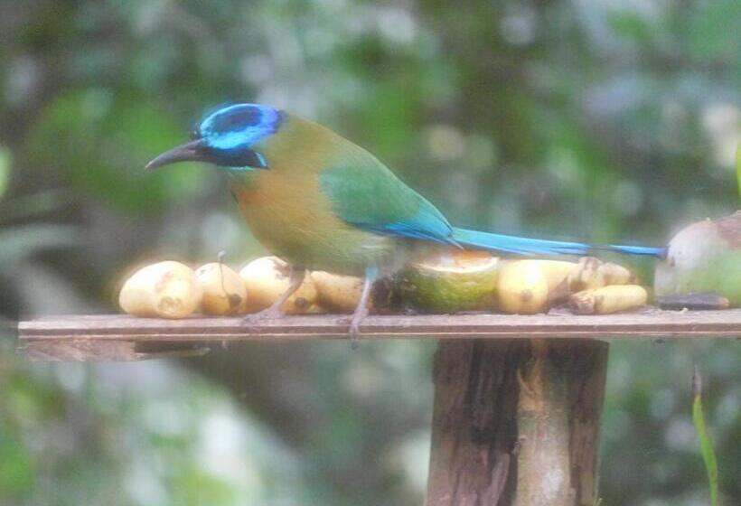 Bed and Breakfast Villas Santa Maria   Private Bay Lake Arenal