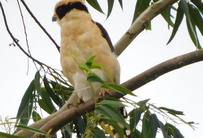 Bed and Breakfast Villas Santa Maria   Private Bay Lake Arenal