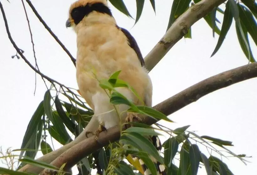 Aamiaismajoitus (B&B) Villas Santa Maria   Private Bay Lake Arenal